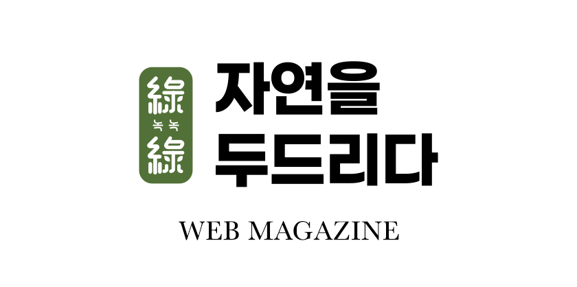 자연을 두드리다 웹진