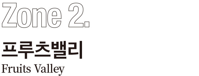프루츠밸리 프루츠밸리