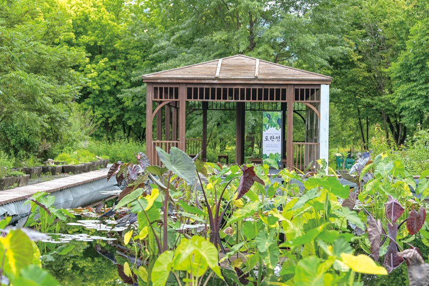 koagi06-01-19