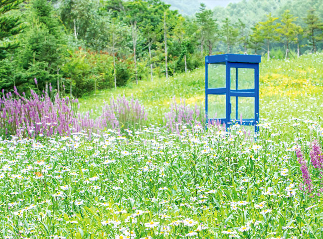 내가 한 수 위!