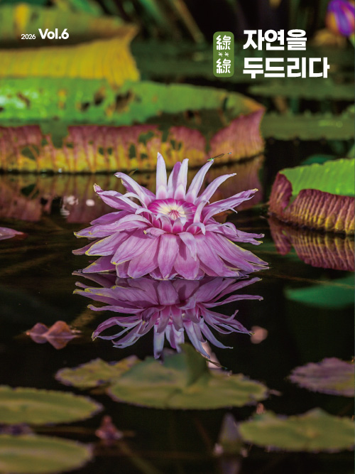 vol06-cover